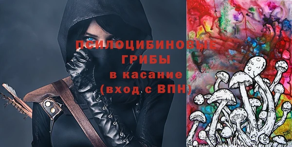 МДПВ Костерёво
