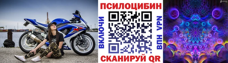 Псилоцибиновые грибы Psilocybine cubensis Хилок